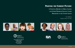 Painting the Current Picture - National Drug Court Institute
