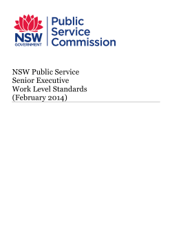 NSW Public Service Senior Executive Work Level Standards