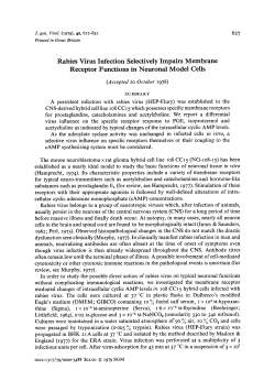 Rabies Virus Infection Selectively Impairs Membrane Receptor