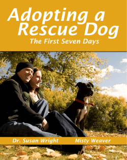 Adopting a Rescue Dog - Humane Society of Stillwater