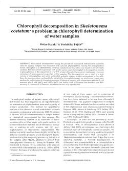 Chlorophyll decomposition in Skeletonema costatum: a problem in