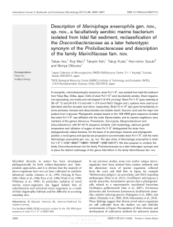 Description of Mariniphaga anaerophila gen. nov., sp. nov., a