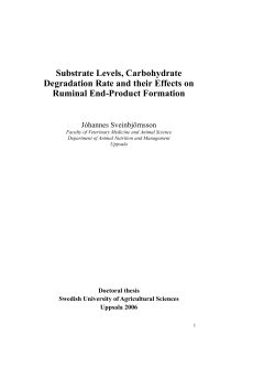 Substrate Levels, Carbohydrate Degradation Rate and their Effects