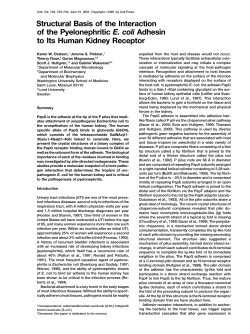 Structural Basis of - Institute of Structural Molecular Biology