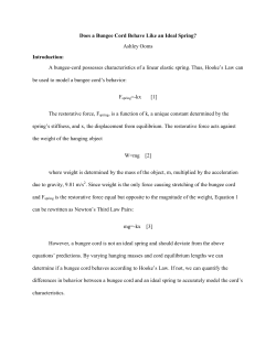 Does a Bungee Cord Behave Like an Ideal Spring?