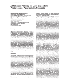 A Molecular Pathway for Light-Dependent Photoreceptor Apoptosis