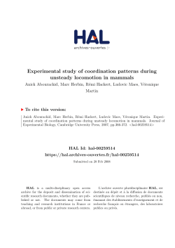 Experimental study of coordination patterns during unsteady
