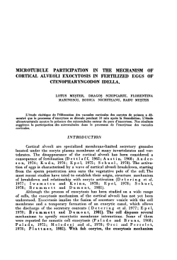 microtubule participation in the mechanism of cortical alveoli