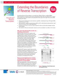 Extending the Boundaries of Reverse Transcription