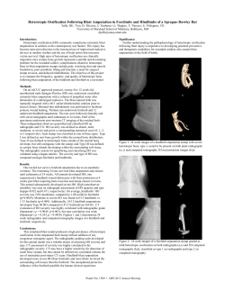 Heterotopic Ossification Following Blast Amputation in Forelimbs