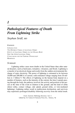 1 Pathological Features of Death From Lightning Strike