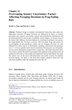 Factors Affecting Foraging Decisions in Frog