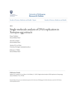 Single-molecule analysis of DNA replication in