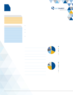 Monthly fund profile