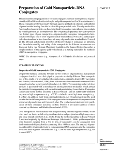 Preparation of Gold Nanoparticle&ndash;DNA Conjugates