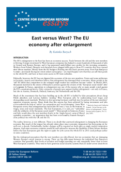East versus West? The EU economy after enlargement