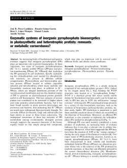 Enzymatic systems of inorganic pyrophosphate bioenergetics