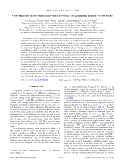 Active transport on disordered microtubule networks: The