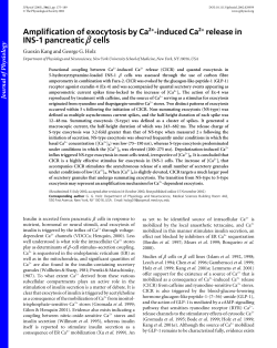 Amplification of exocytosis by Ca 2+