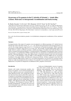 Occurrence of 2n gametes in the F1 hybrids of Oriental &chi; Asiatic lilies