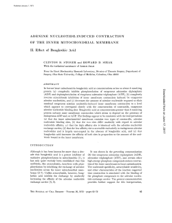 ADENINE NUCLEOTIDE-INDUCED CONTRACTION OF THE