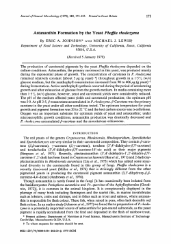 Astaxanthin Formation by the Yeast Phafia rhodozyma