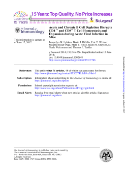Mice Expansion during Acute Viral Infection in T Cell Homeostasis