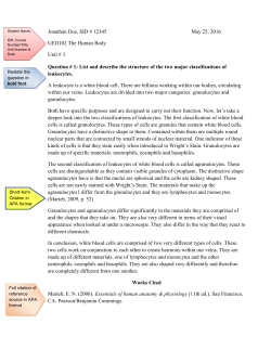 An undergraduate-level Written Assignment sample