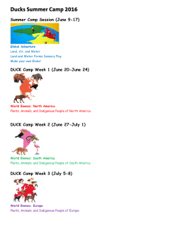 Ducks Summer Camp 2016