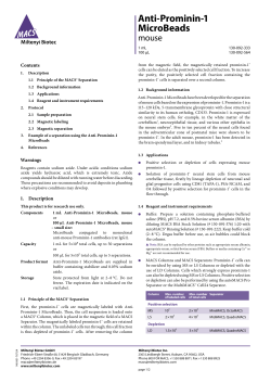 Anti-Prominin-1 MicroBeads