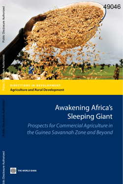 Awakening Africa`s Sleeping Giant