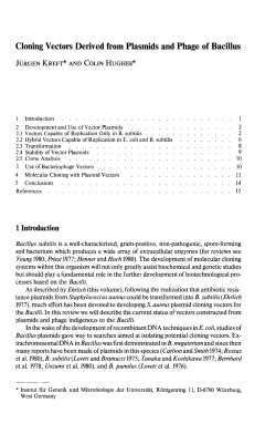 Cloning Vectors Derived from Plasmids and Phage of Bacillus