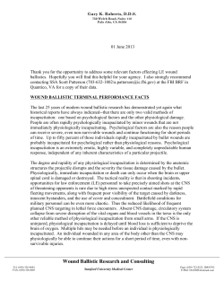 File - Don Lazzarini Gunsmithing