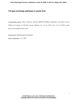 3-D gas exchange pathways in pome fruit