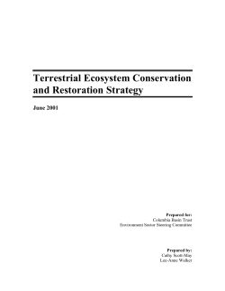 Terrestrial Ecosystem Conservation and Restoration Strategy
