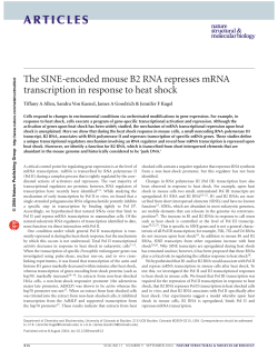 The SINE encoded mouse B2 RNA represses mRNA transcription in