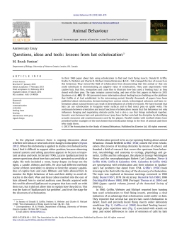 Questions, ideas and tools: lessons from bat echolocation
