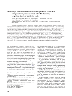 Microscopic cleanliness evaluation of the apical root canal after