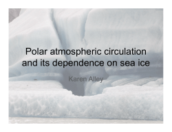 Polar atmospheric circulation and its dependence on sea ice
