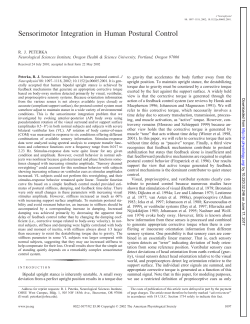 Sensorimotor Integration in Human Postural Control