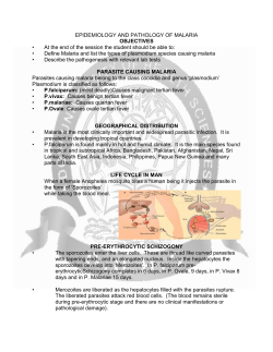 epidemiology and pathology of malaria