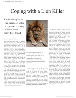 Coping with a lion killer