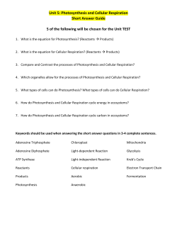 Unit 5: Photosynthesis and Cellular Respiration Short Answer Guide