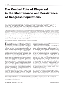 The Central Role of Dispersal in the Maintenance and