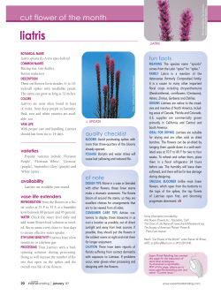 printable PDF - Super Floral