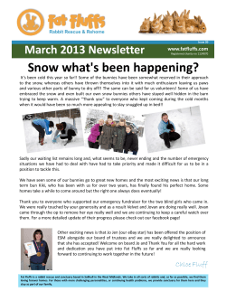 Issue 20 - Fat Fluffs