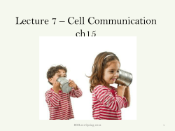 Lecture 7 – Cell Communication