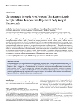 Glutamatergic Preoptic Area Neurons That Express Leptin