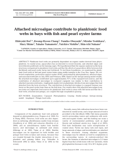 Attached microalgae contribute to planktonic food webs in bays with