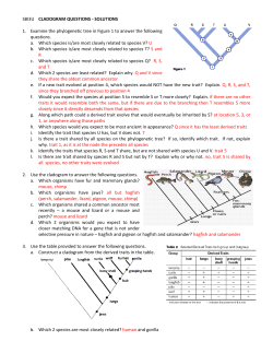 SBI3U CLADOGRAM QUESTIONS - SOLUTIONS 1. Examine